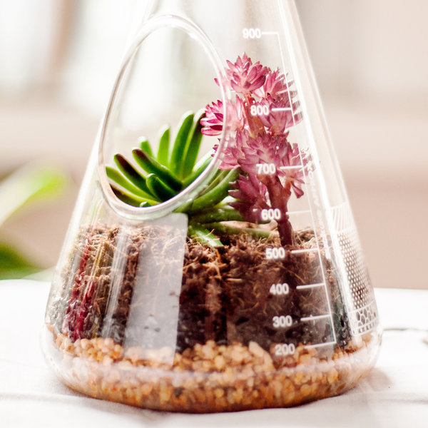 Kit pentru plante - Chemistry Terrarium | Suck Uk - 2 | YEO