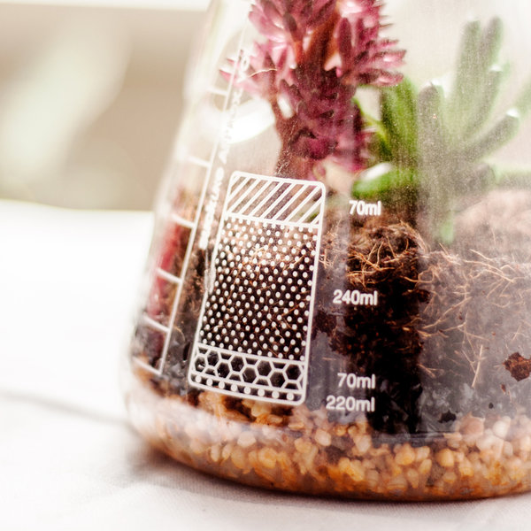 Kit pentru plante - Chemistry Terrarium | Suck Uk - 1 | YEO