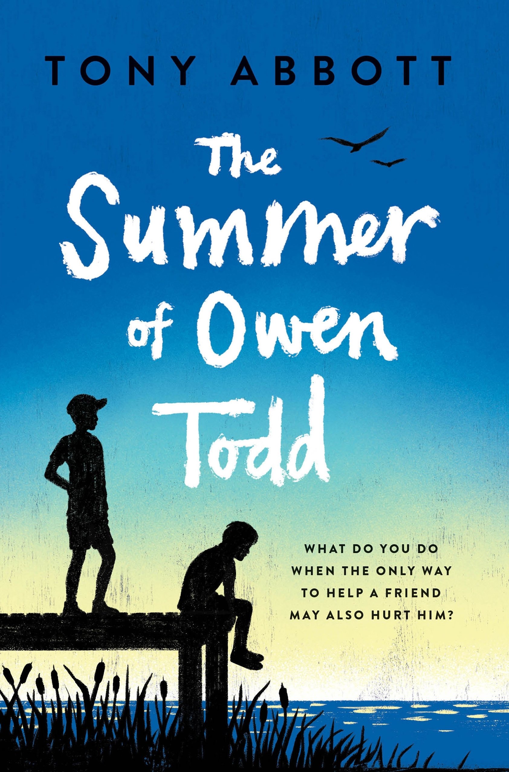 The Summer of Owen Todd | Tony Abbott