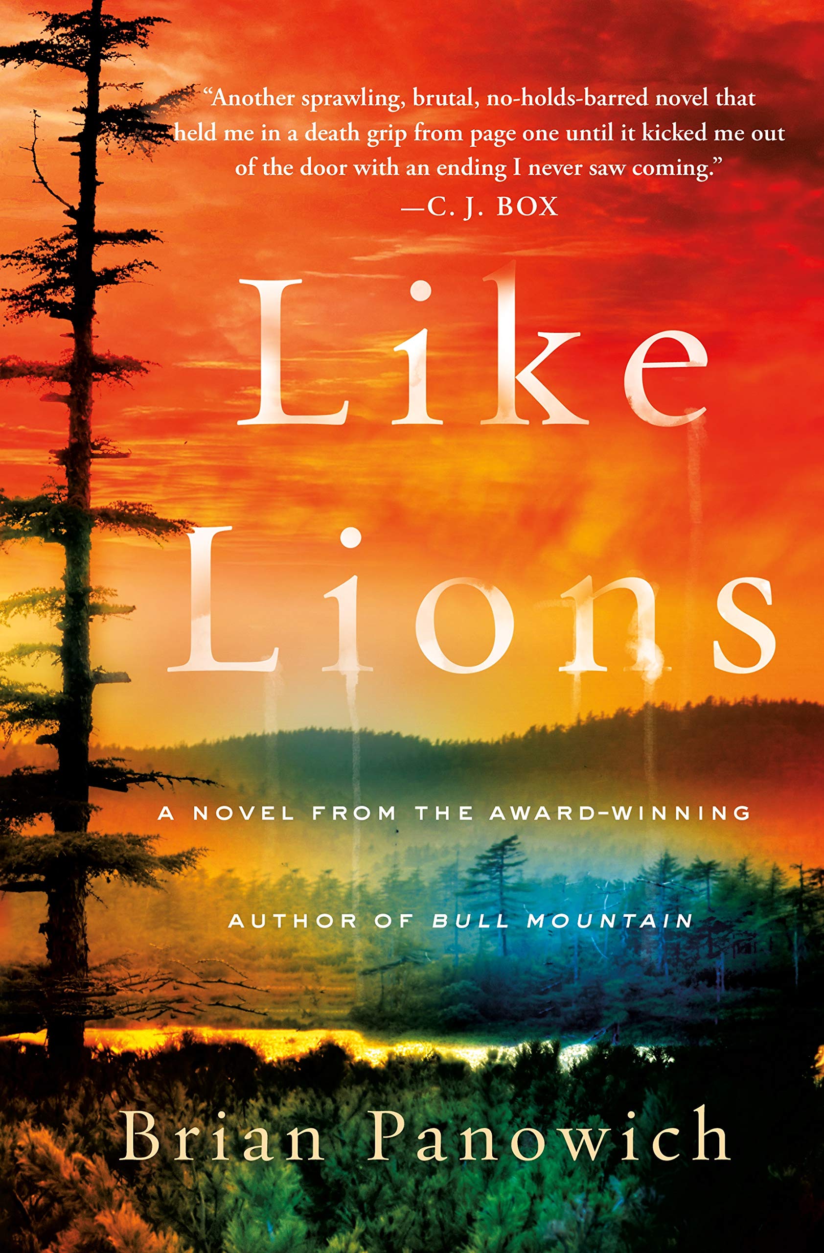 Like Lions | Brian Panowich