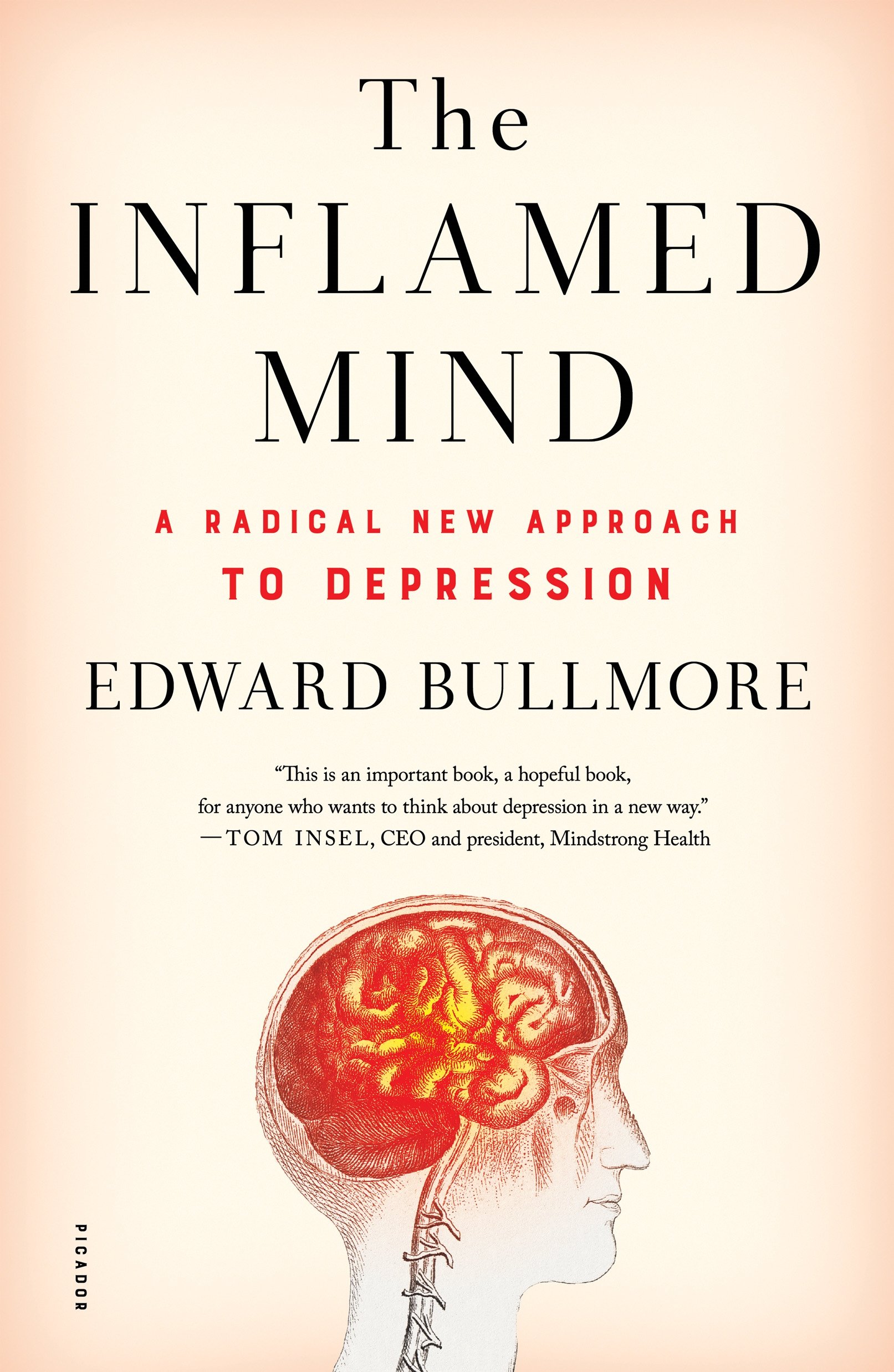 The Inflamed Mind | Edward Bullmore