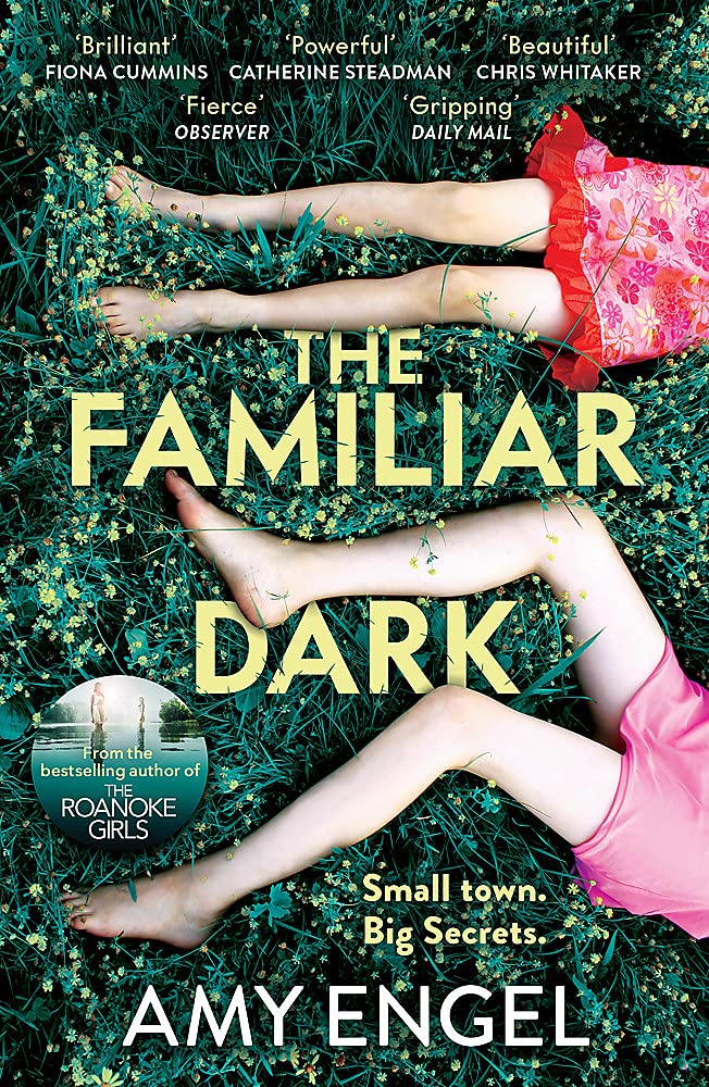 The Familiar Dark | Amy Engel