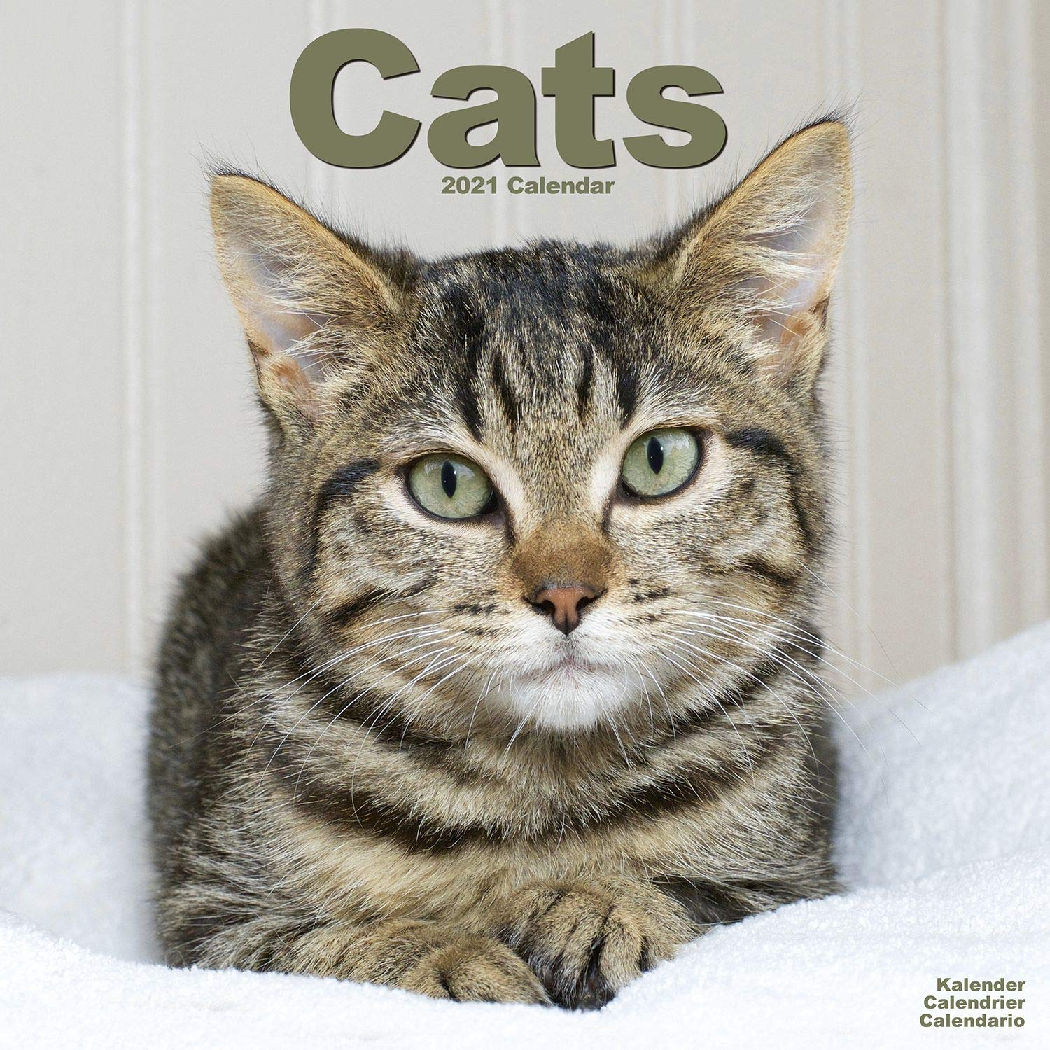 Calendar 2021 - Cats | Avonside Publishing Ltd