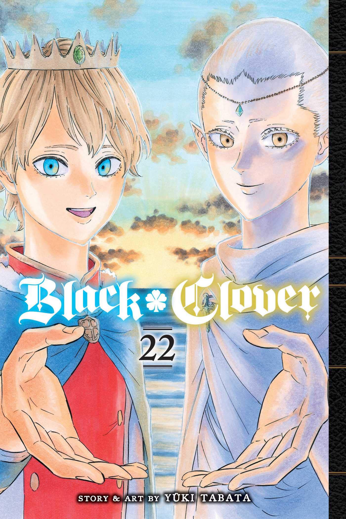 Black Clover, Vol. 22 | Yuki Tabata