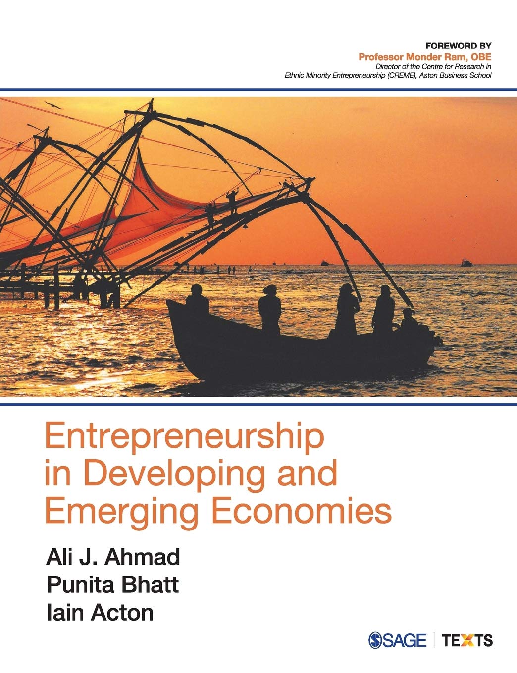 Entrepreneurship in Developing and Emerging Economies | Ali J Ahmad, Punita Bhatt, Iain Acton