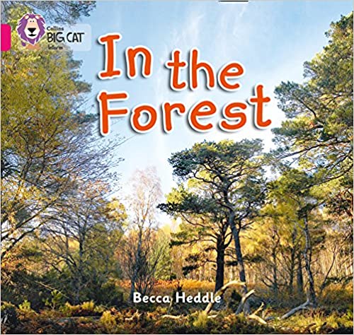 In The Forest | Becca Heddle