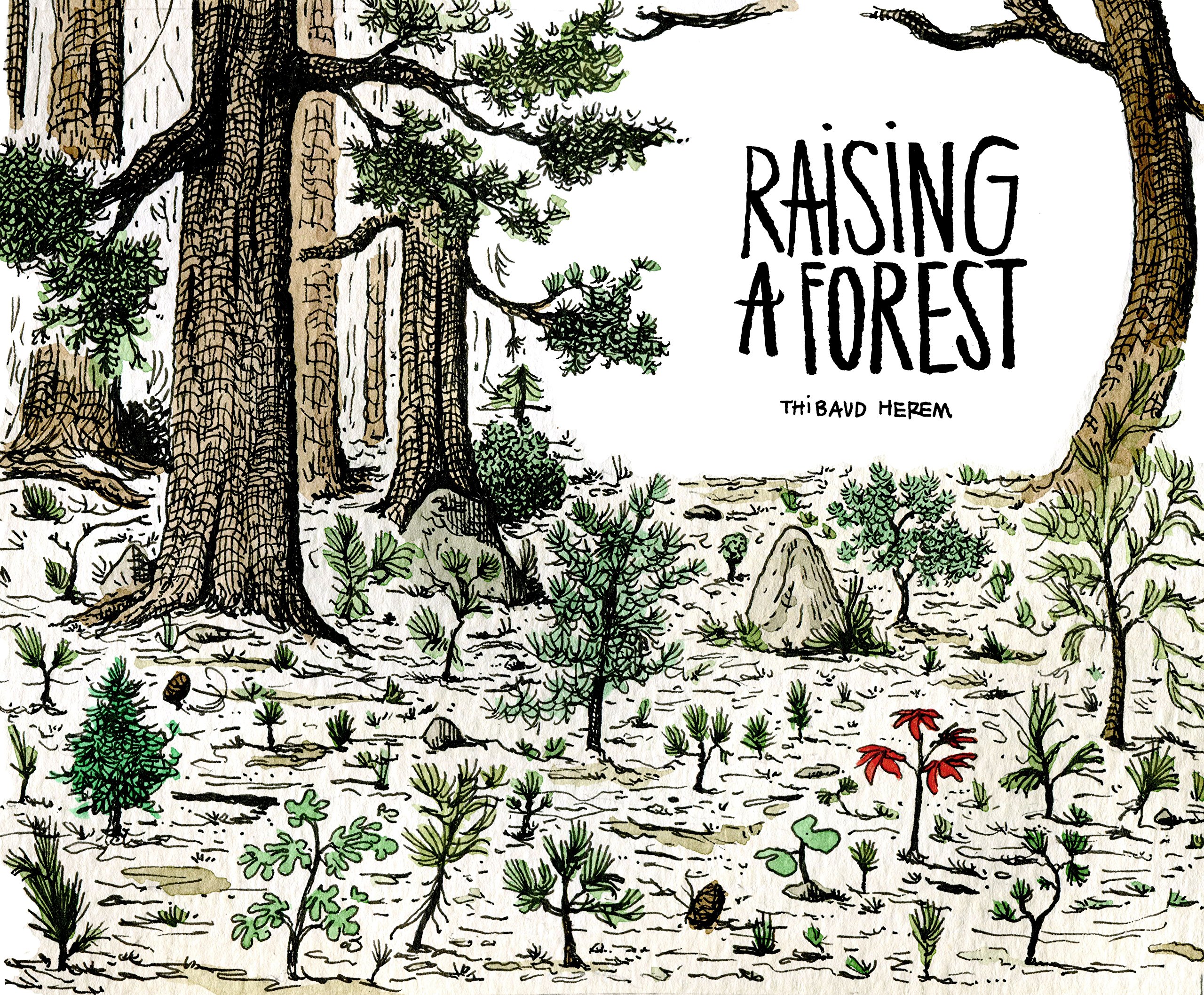Raising a Forest | Thibaud Herem