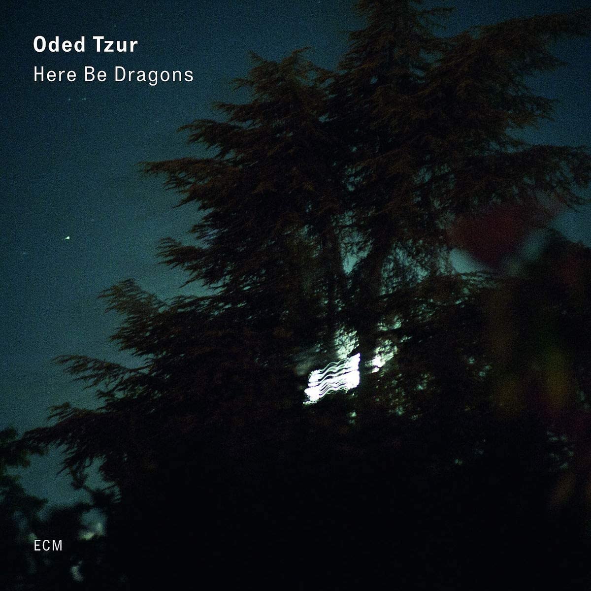 Here Be Dragons - Vinyl | Oded Tzur - 1 | YEO