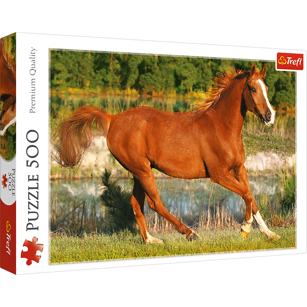 Puzzle 500 de piese - The beauty of gallop | Trefl