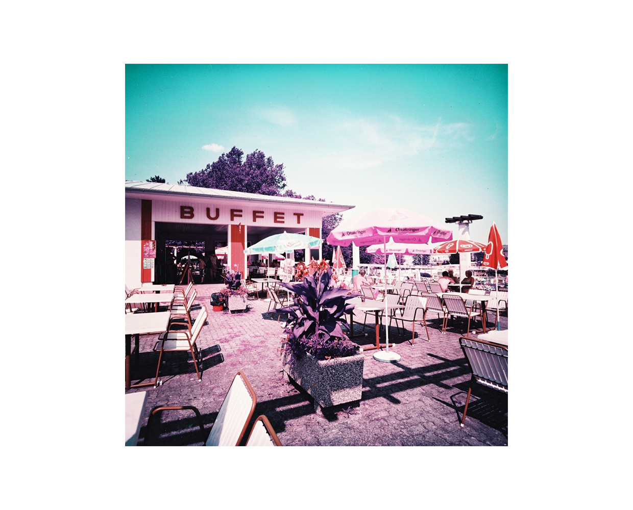 Film negativ color 120 - Lomography Lomochrome Purple XR 100-400 | Lomography - 4 | YEO