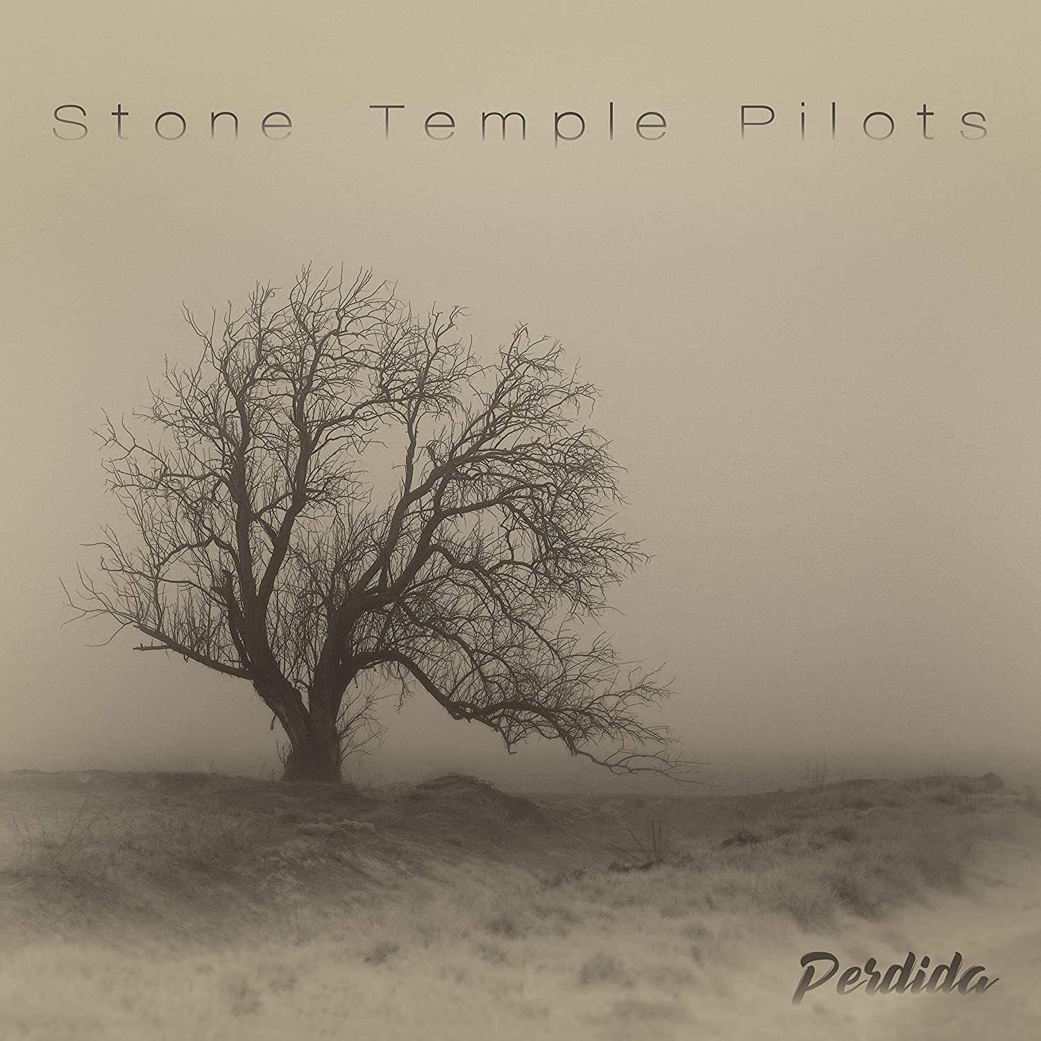 Perdida - Vinyl | Stone Temple Pilots - 1 | YEO