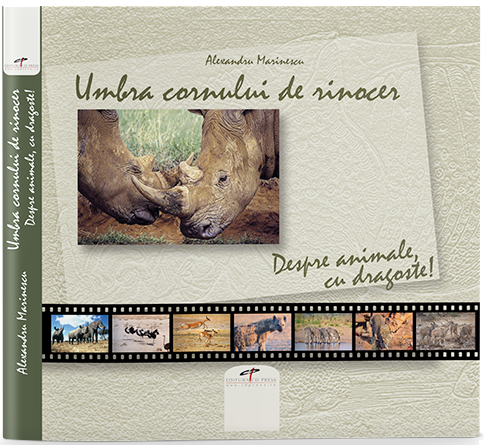 PDF Umbra cornului de rinocer. Despre animale, cu dragoste | Alexandru Marinescu carturesti.ro Carte