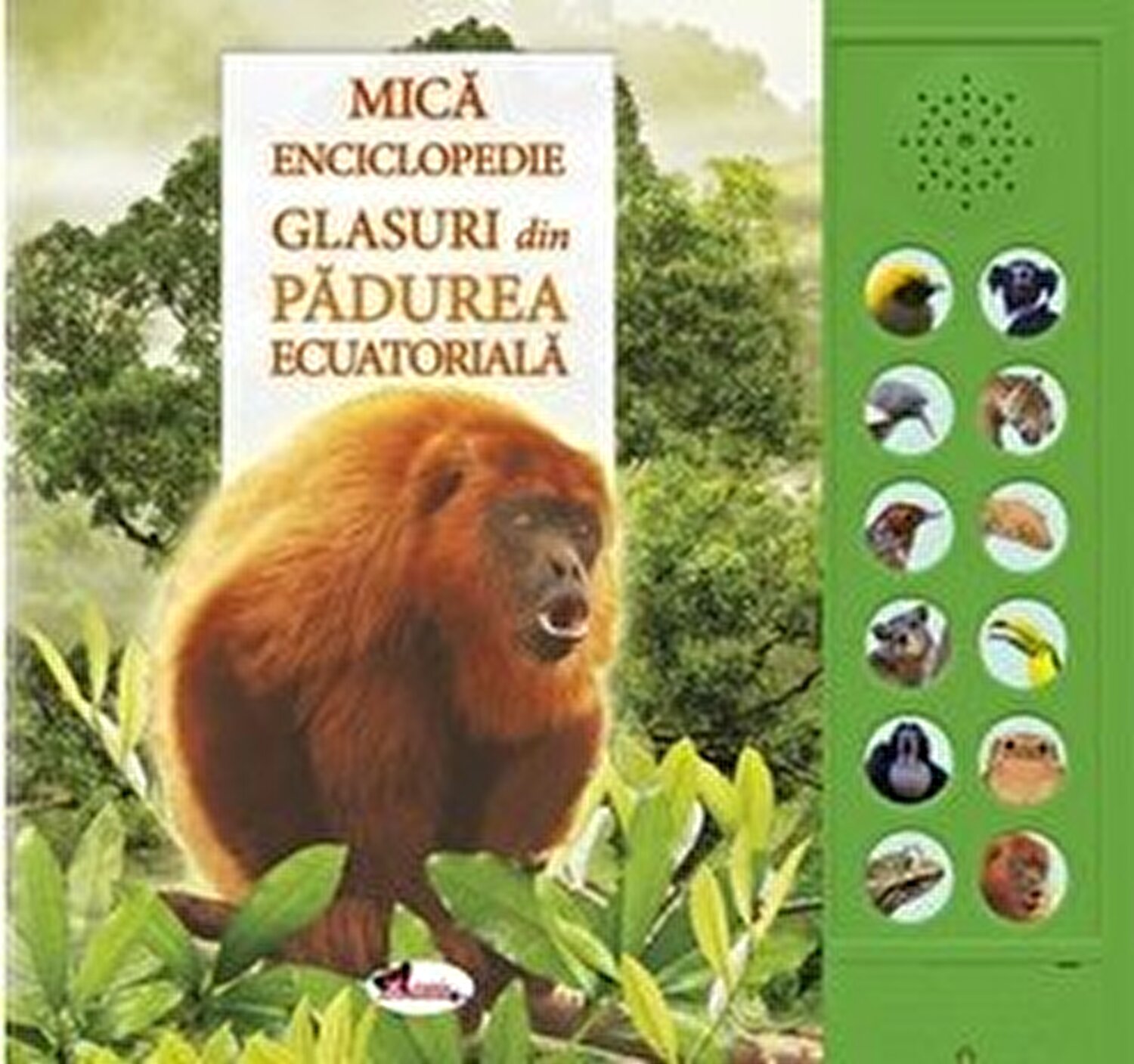 Mica enciclopedie. Glasuri din padurea ecuatoriala | Andrea Pinnington, Caz Buckingham Pret Mic adolescenti imagine 2021