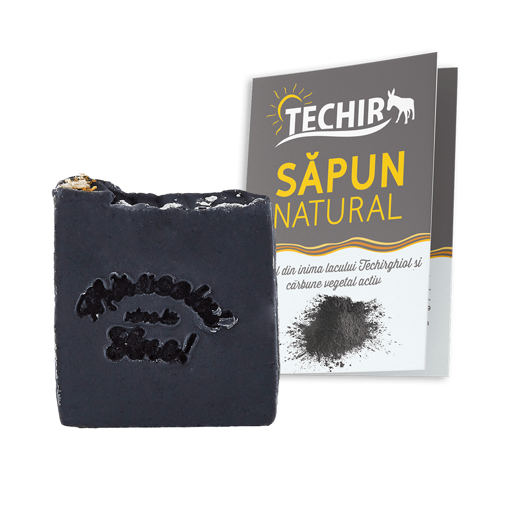 Sapun natural cu namol si carbune activ | Techir - 1 | YEO