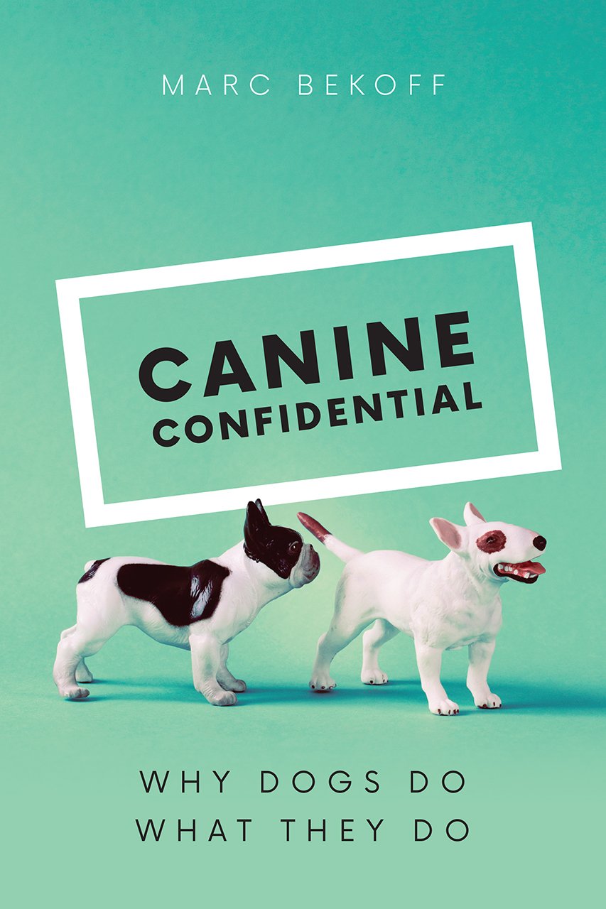 Canine Confidential | Marc Bekoff