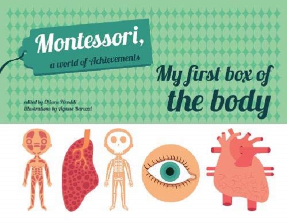 My First Box of the Body | Chiara Piroddi