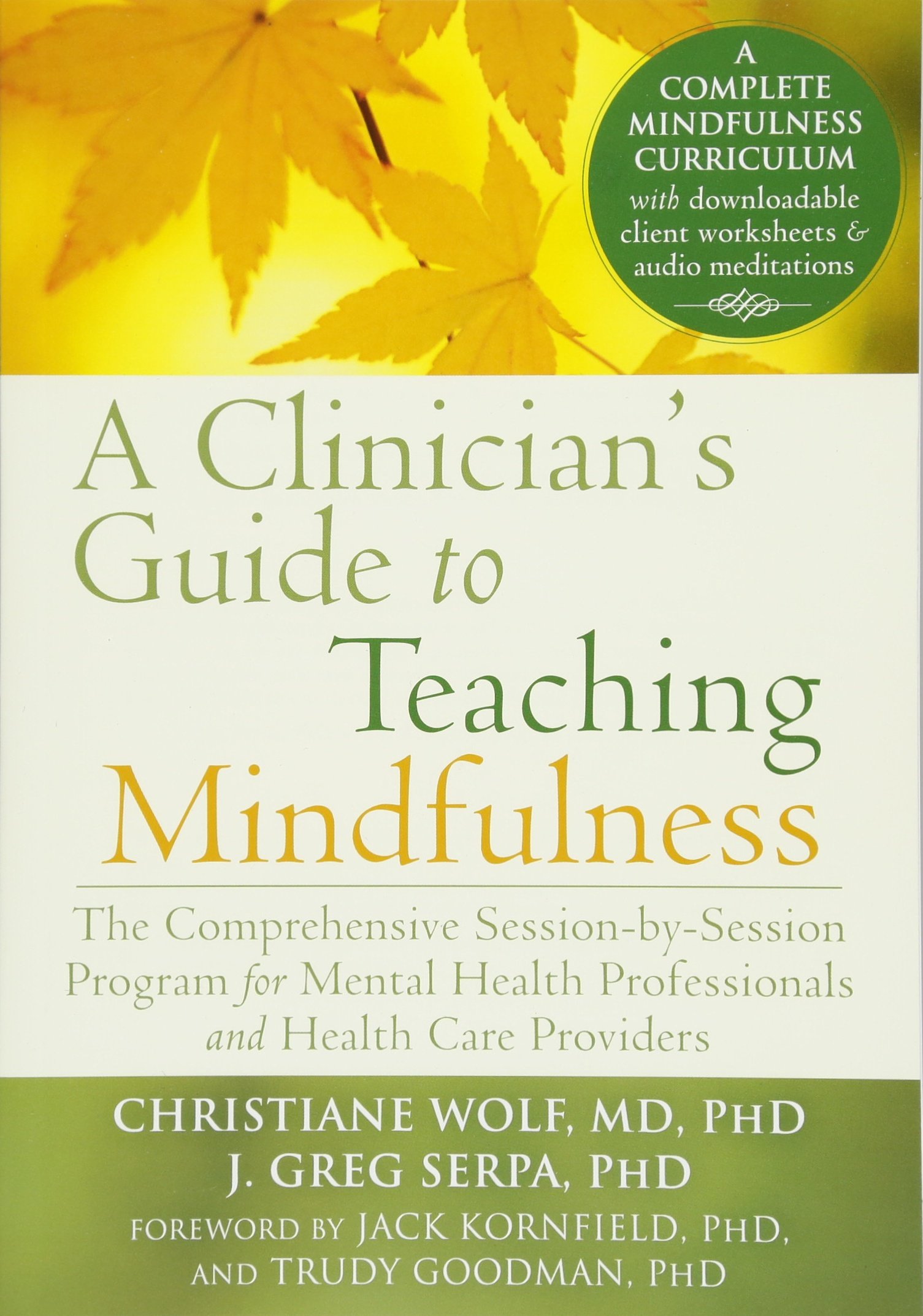 Clinician\'s Guide to Teaching Mindfulness | Christiane Wolf