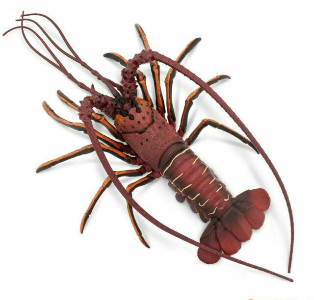 Figurina - Spiny Lobster | Safari