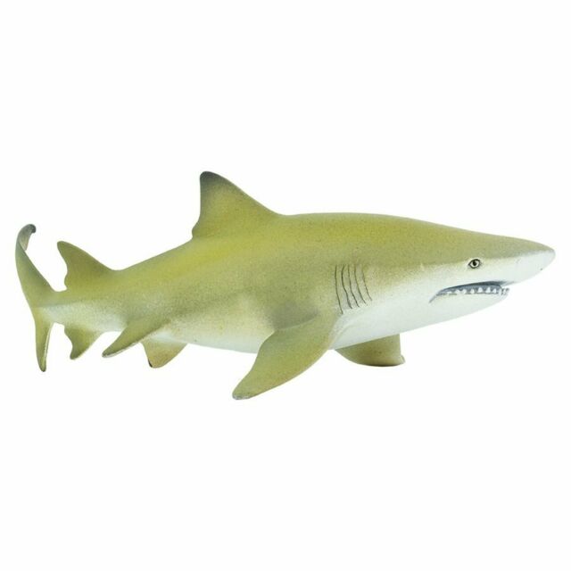 Figurina - Sea Life - Lemon Shark | Safari