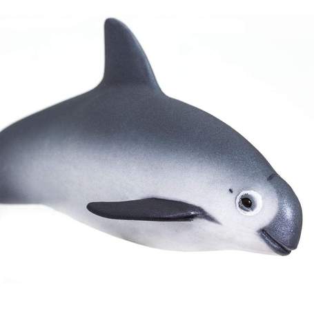 Figurina - Delfinul Brun Vaquita | Safari - 4 | YEO