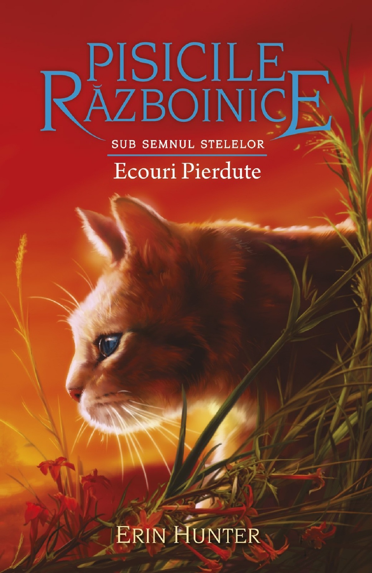 Pisicile Razboinice - Ecouri pierdute | Erin Hunter