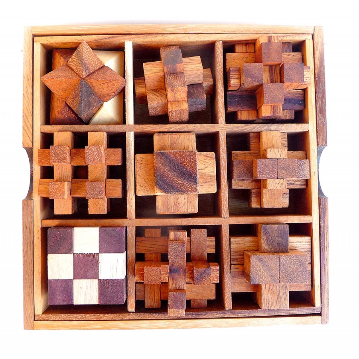 Set puzzle din lemn 9 in 1 | Logica Giochi - 3