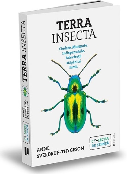 Terra Insecta | Anne Sverdrup-Thygeson