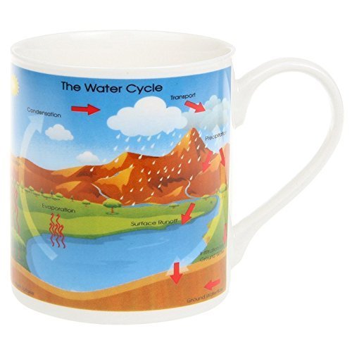 Cana - Educational Water Cycle | Lesser & Pavey