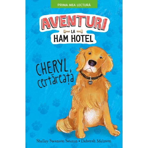 Aventuri la Ham Hotel | Shelley Swanson Sateren