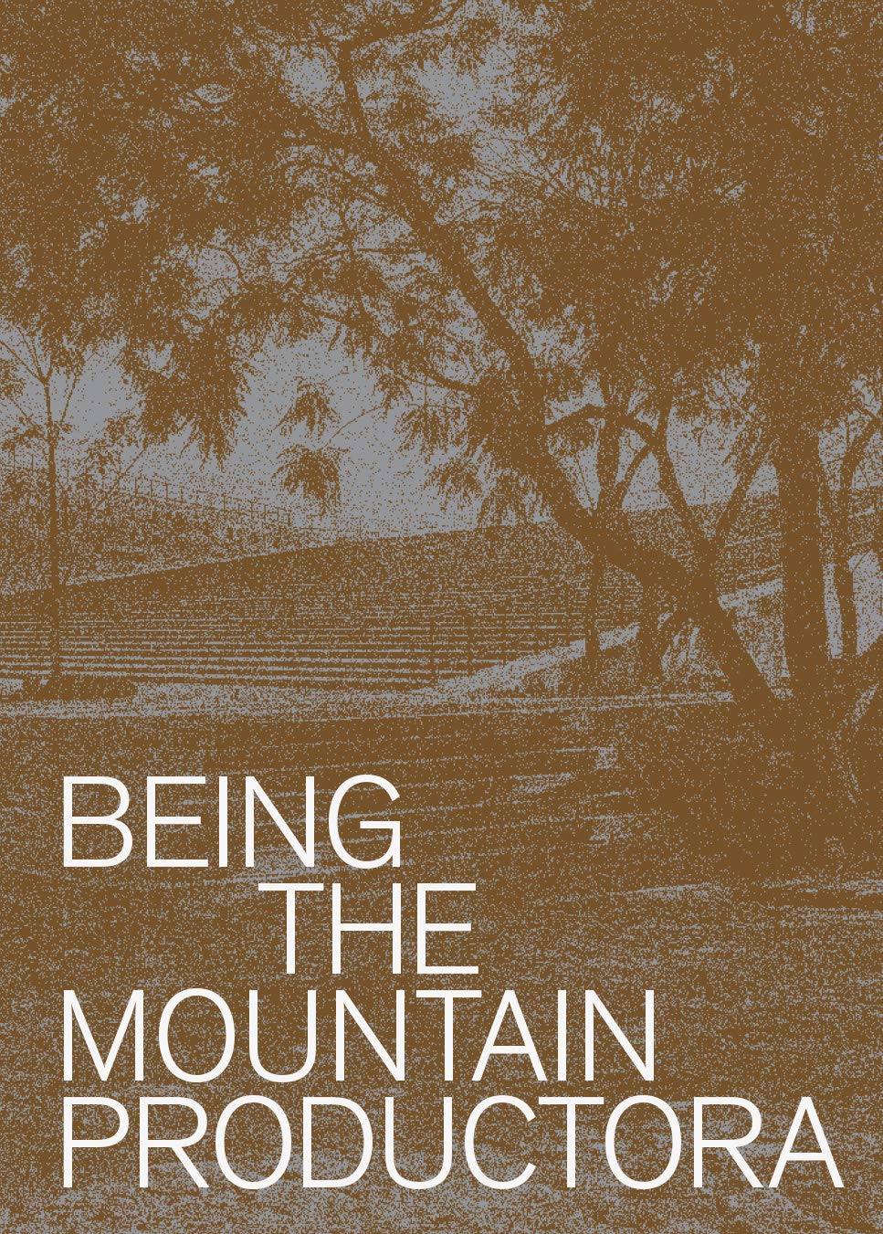 Being the Mountain: Productora | Carlos Bedoya, Wonne Ickx, Victor Jaime, Abel Perles, Jesus Vassallo