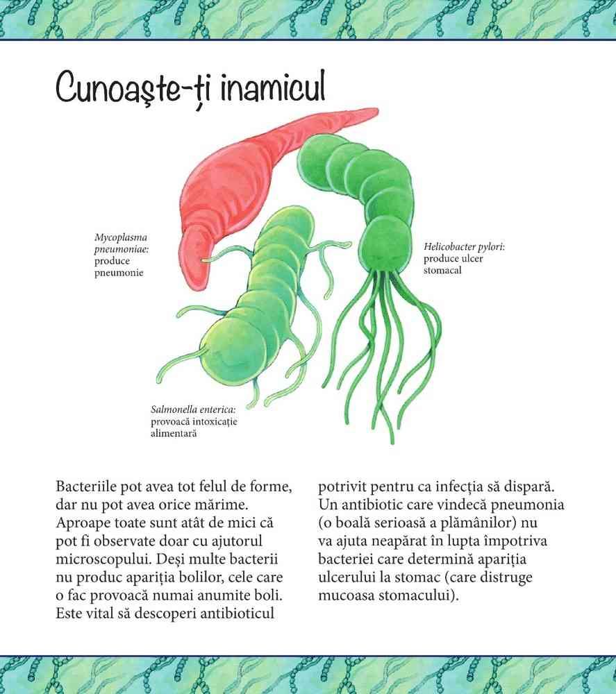 Nu ai vrea sa traiesti fara antibiotice! | Anne Rooney - 3 | YEO