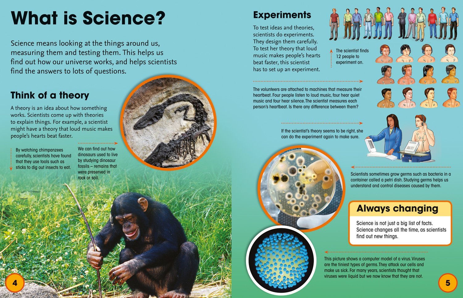 Science | - 2 | YEO