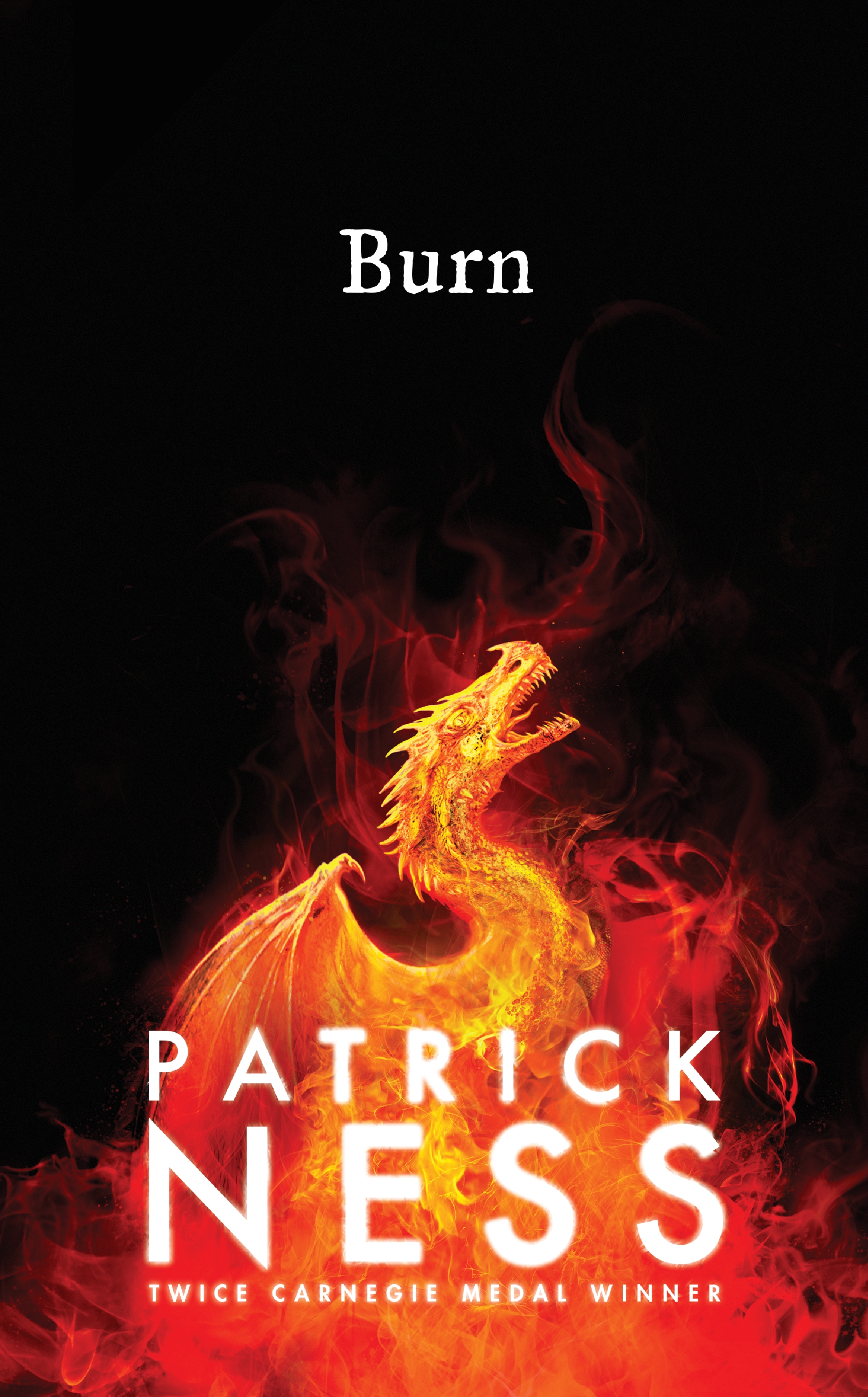 Burn | Patrick Ness