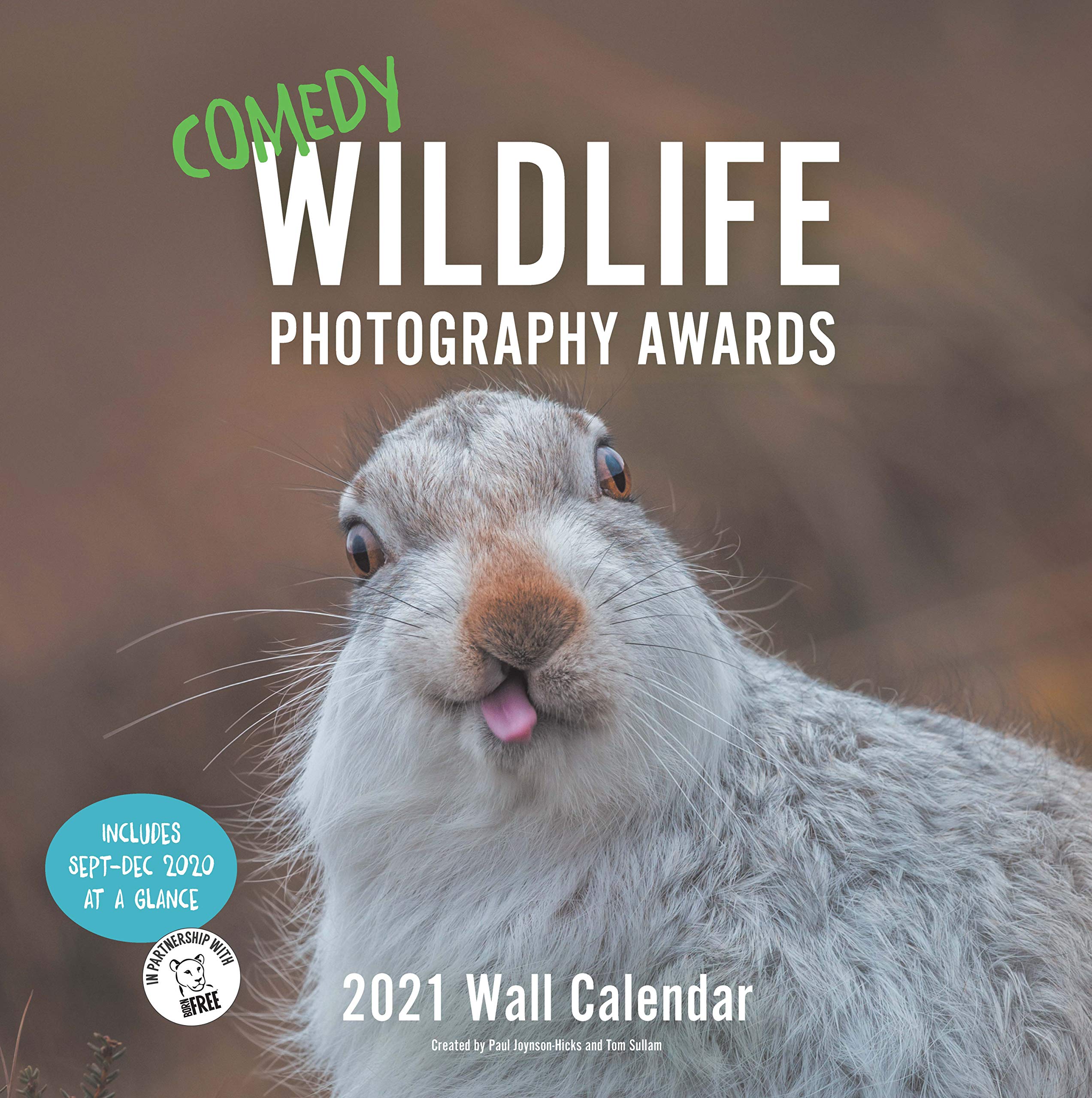 Calendar 2021 - Comedy Wildlife | Chronicle Books