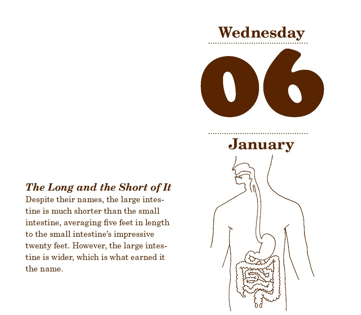 Calendar 2021 - What\'s Your Poo Telling You? | Chronicle Books - 4 | YEO