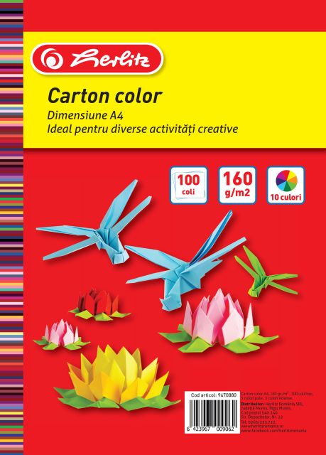 Carton colorat - 100 Coli | Herlitz