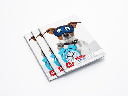 Caiet A5 Dictando - Cool Dog - Modele diferite | Herlitz - 1 | YEO