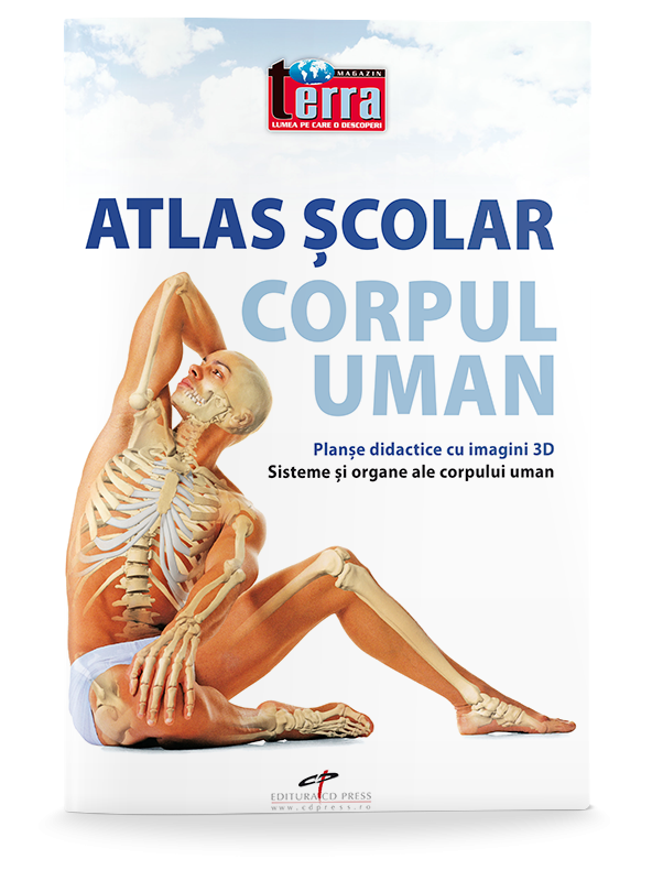 Atlas scolar. Corpul uman |