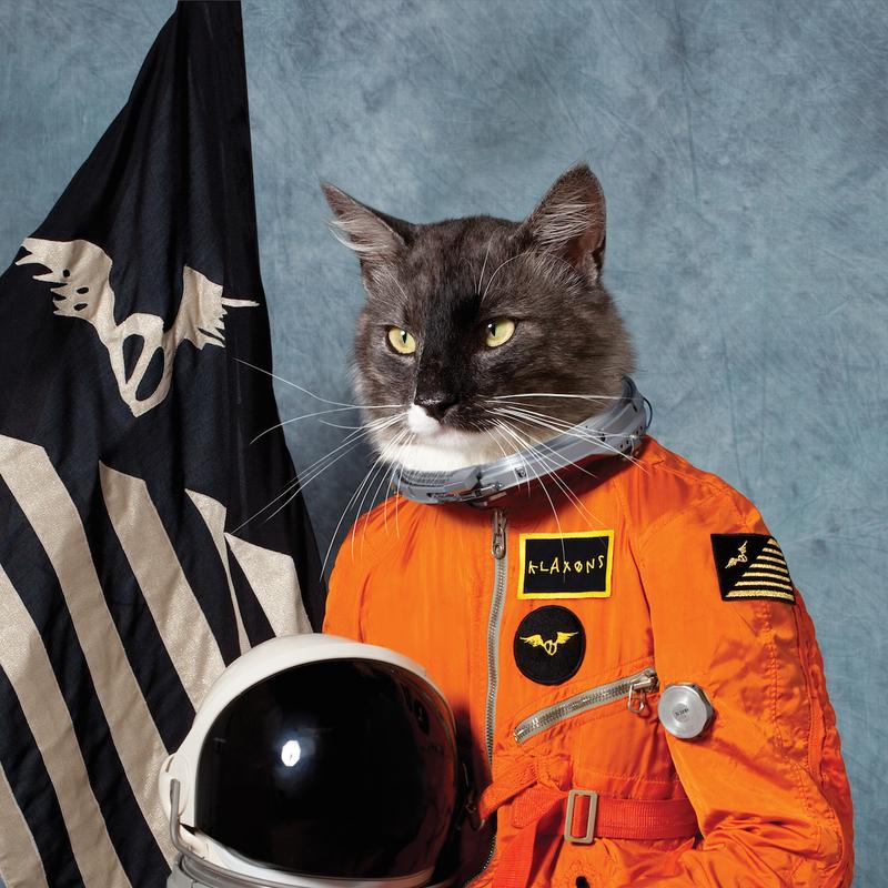 Surfing the Void - Vinyl | Klaxons