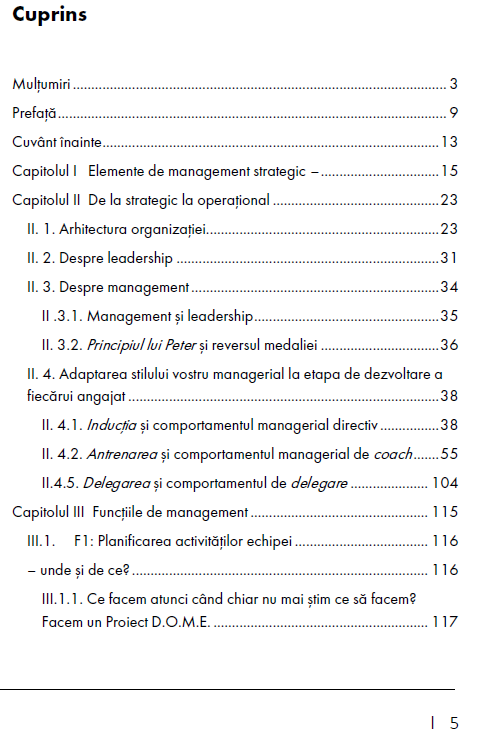 Catre leadership prin management | Radu Nechita - 6 | YEO