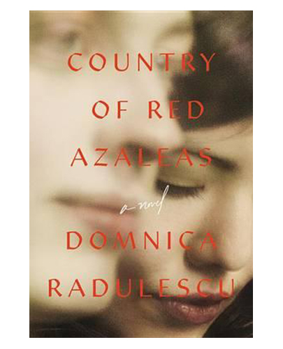 Country of Red Azaleas | Domnica Radulescu