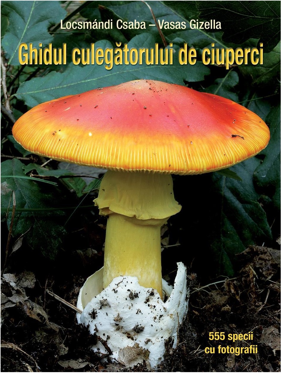 Ghidul culegatorului de ciuperci | Locsmandi Csaba carturesti.ro imagine 2022