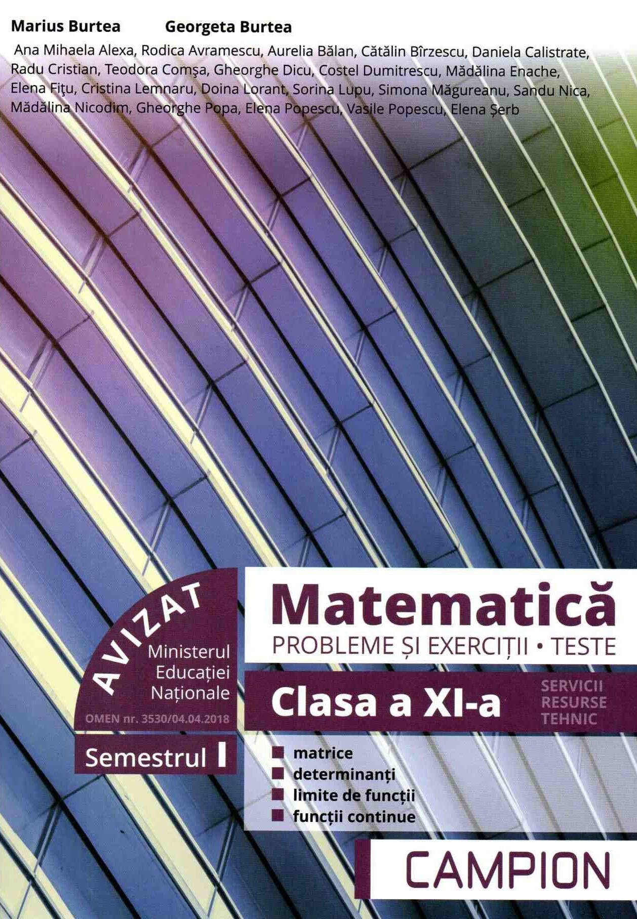 Matematica - Probleme si exercitii, teste - Clasa a XI-a, Semestrul I | Marius Burtea