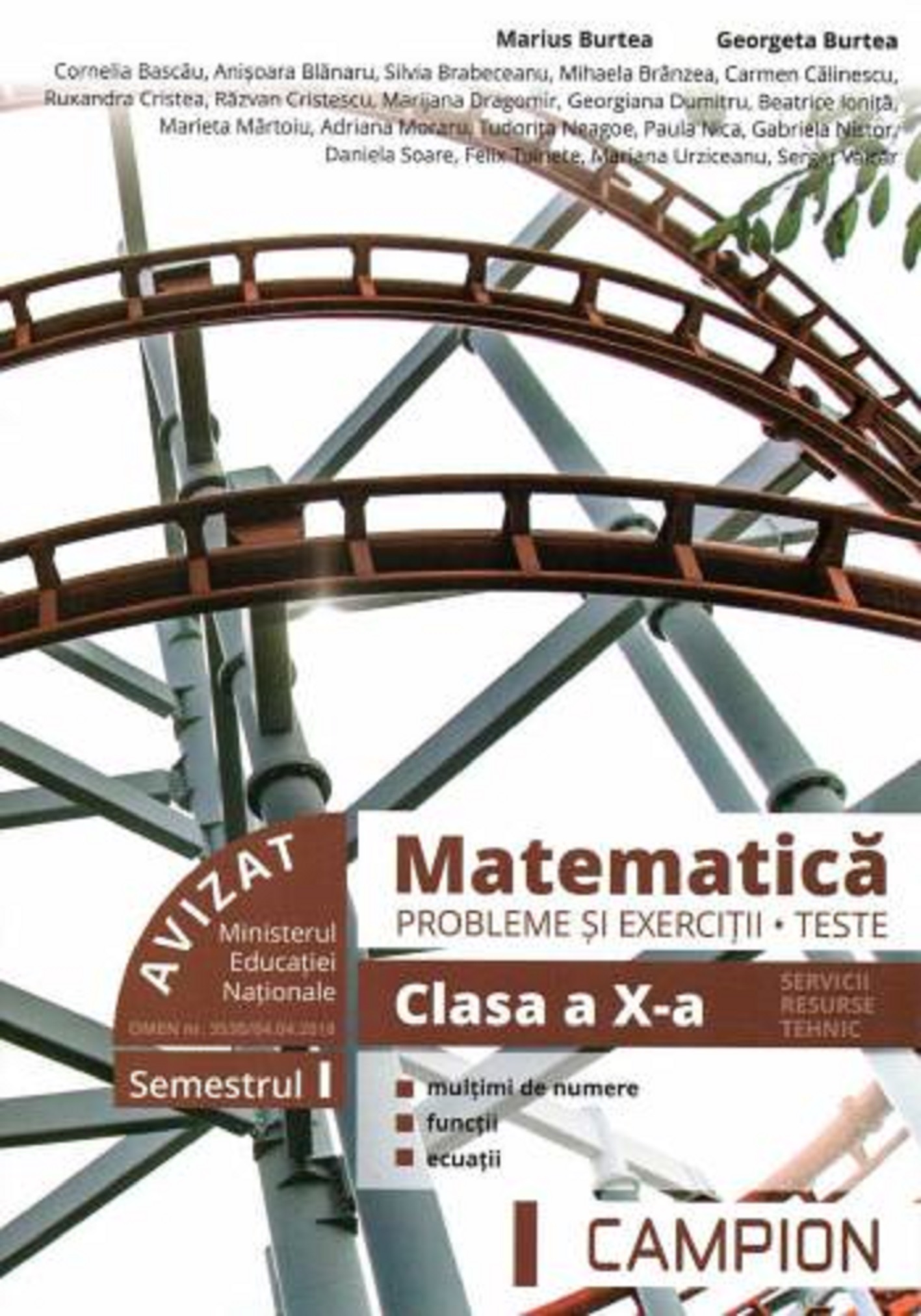 Matematica probleme si exercitii teste clasa a X-a semestrul I. Profil tehnic |