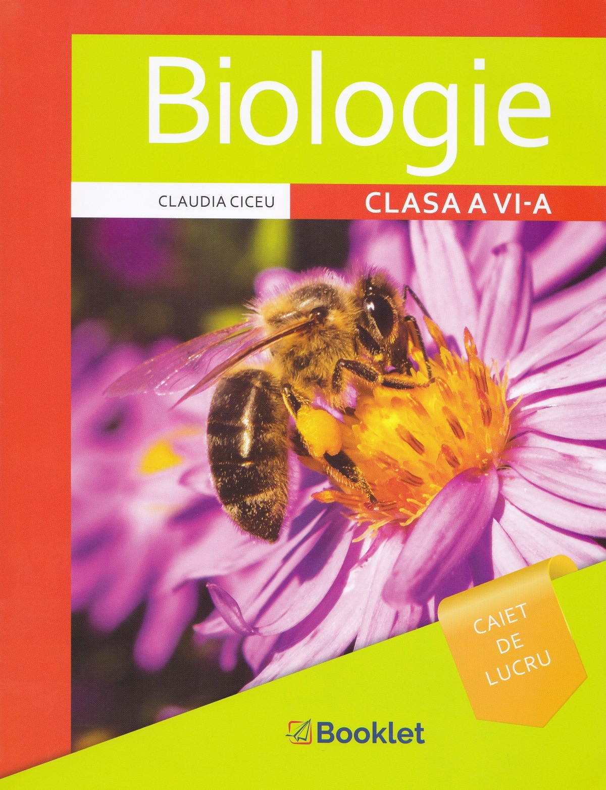 Biologie. Clasa a VI-a. Caiet de lucru | Claudia Ciceu