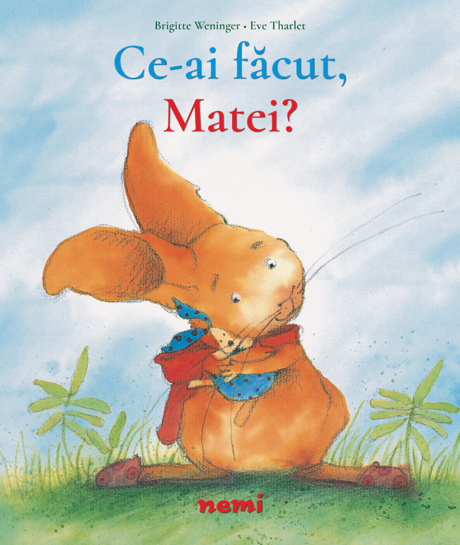 Ce ai facut, Matei? | Brigitte Weninger