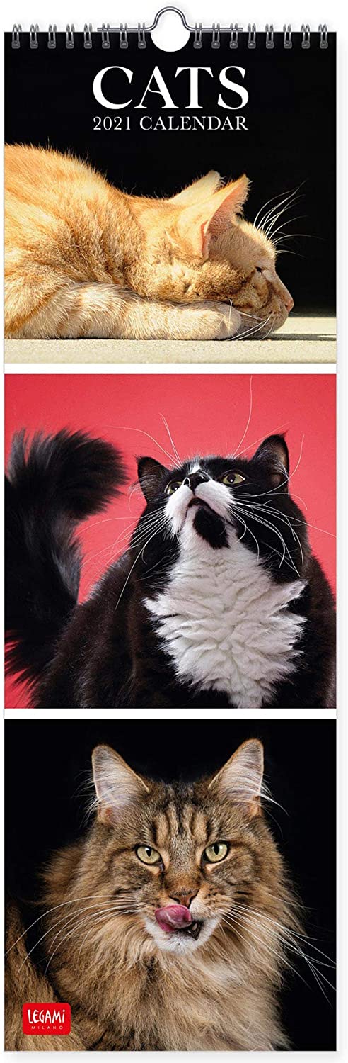 Calendar 2021 - Cats, 16x49 cm | Legami