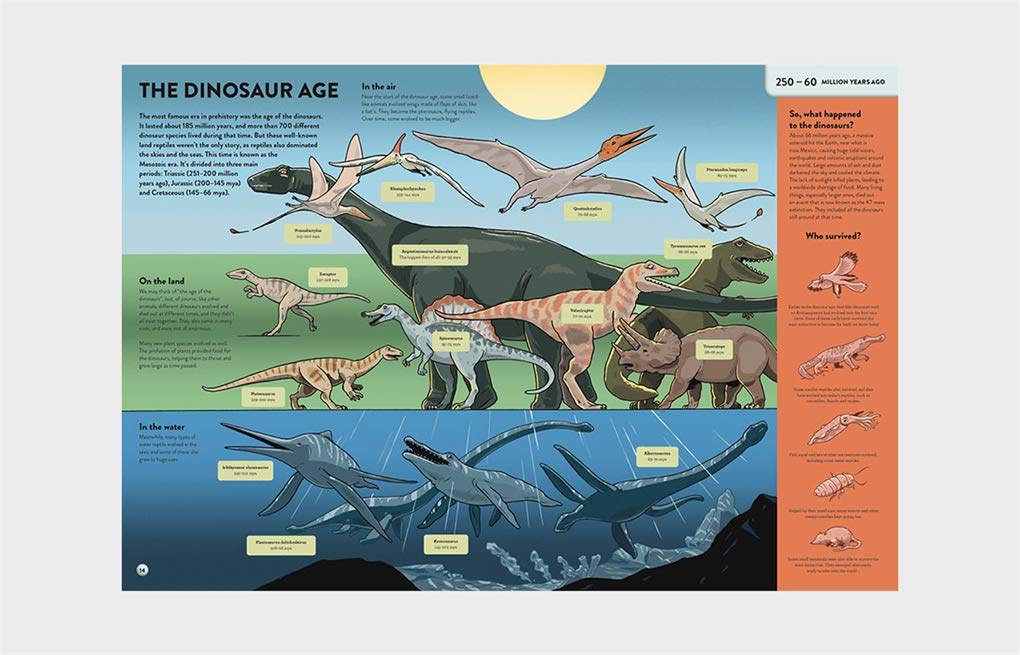 The History of Everything in 32 Pages | Anna Claybourne - 4 | YEO