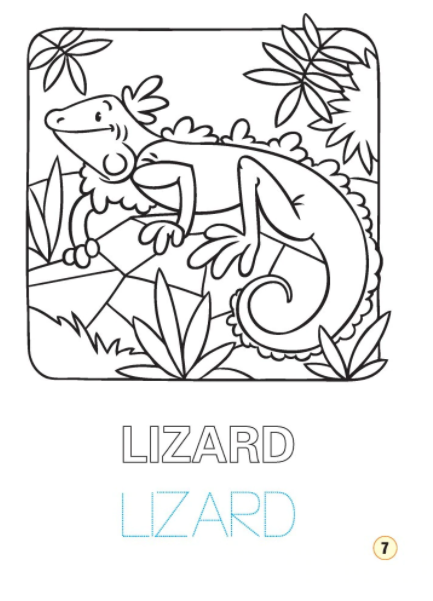 Limba engleza. Reptile si animale marine (Colouring book) | - 1 | YEO