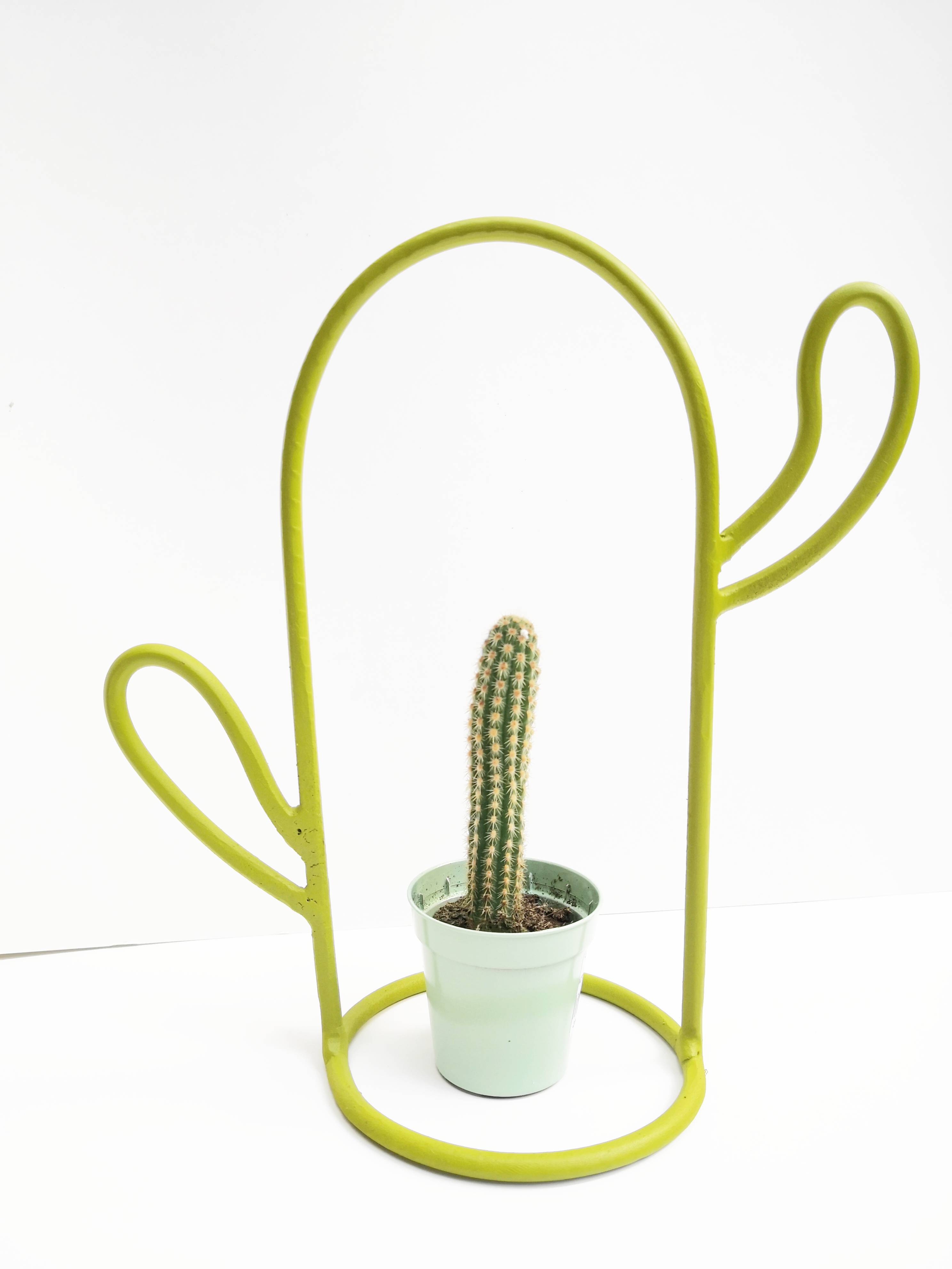  Vaza cactus | Conturat 